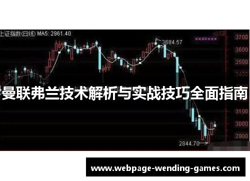 曼联弗兰技术解析与实战技巧全面指南